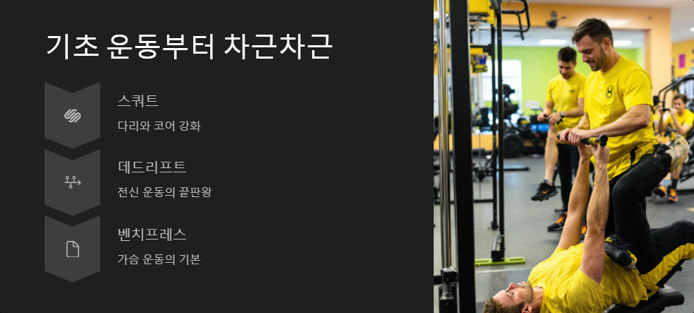 헬스 초보자를 위한 기초 운동, 효과적인 루틴 정리