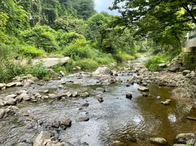 용인 고기리계곡