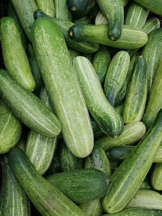 오이 효능 영양소 칼로리 부작용