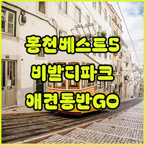 홍천 숙소 추천 비발디파크부터 애견동..