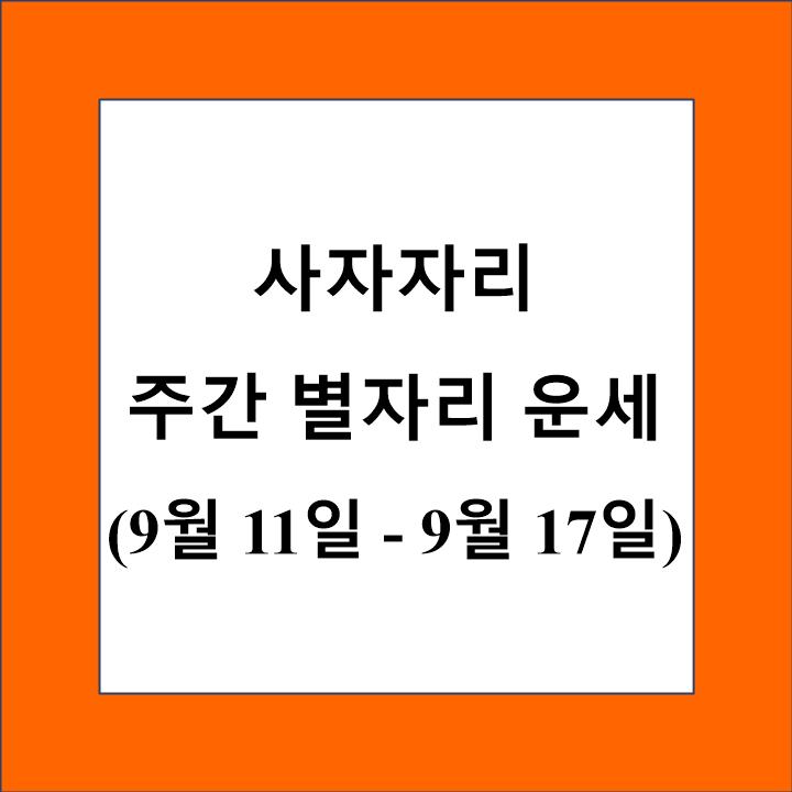 사자자리 주간 별자리 운세 제목 상자