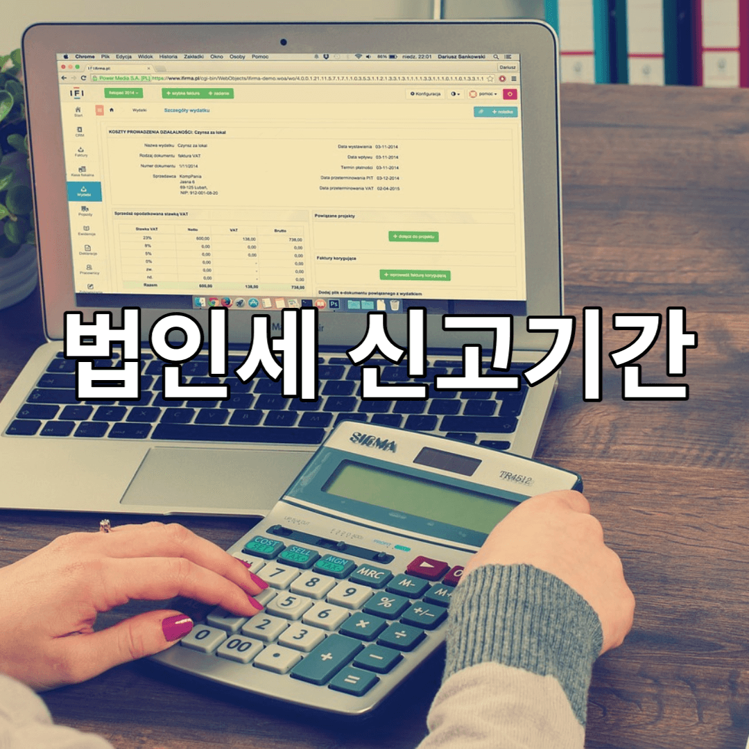 법인세-신고기간