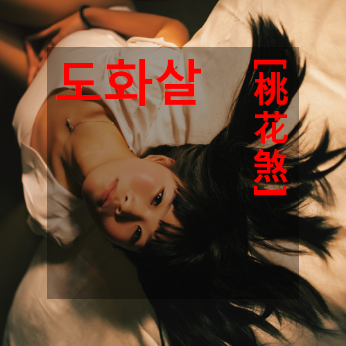도화살 확인하기