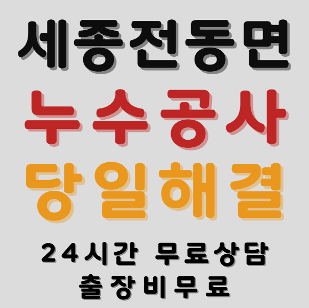 전동면 누수 전문가1