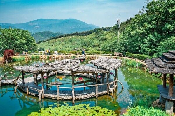 국내 이국적인 역대급 여행지 추천