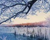 ESFP 유형 특징 분석