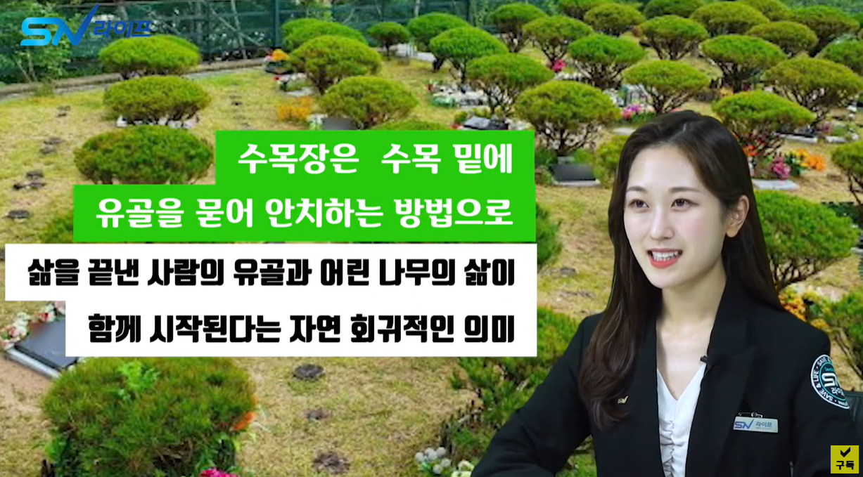 수목장은 수목 밑에 유골을 묻어 안치하는 장례방법