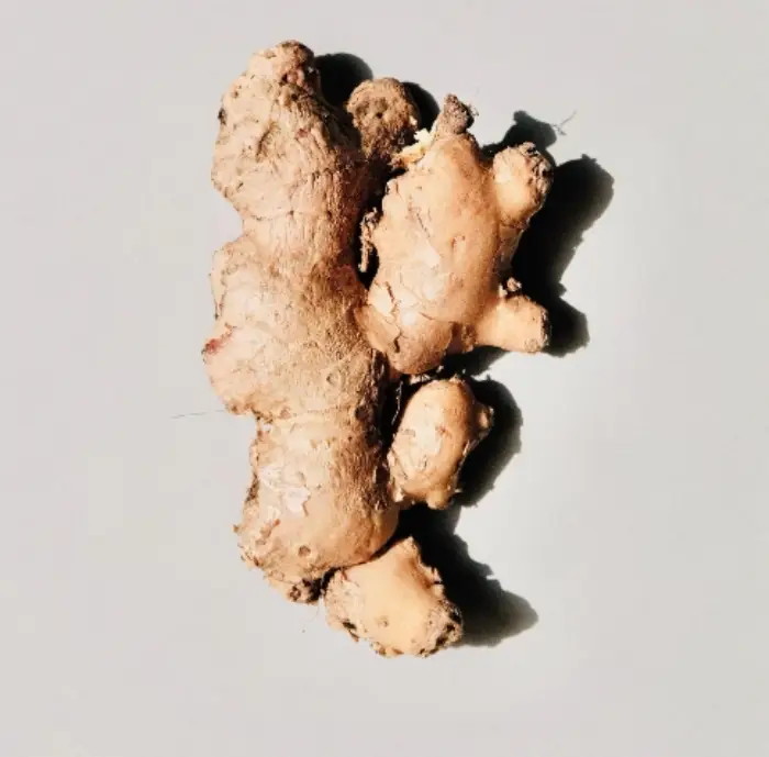 생강청 만드는법