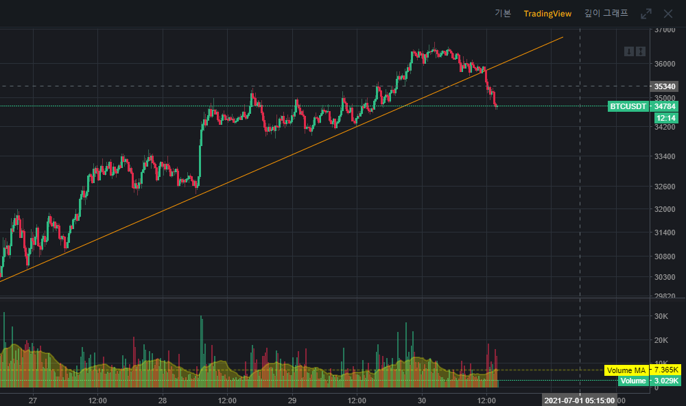 비트코인 매매일지