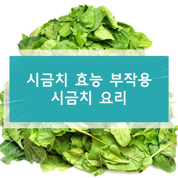 시금치 효능 부작용