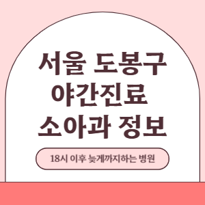 서울 도봉구 야간진료 소아과 병원 (18시 이후 늦게까지하는 병원)