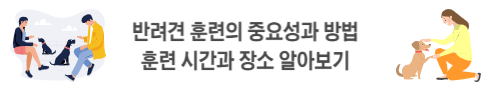 반려견 훈련의 중요성과 방법 훈련 시간과 장소