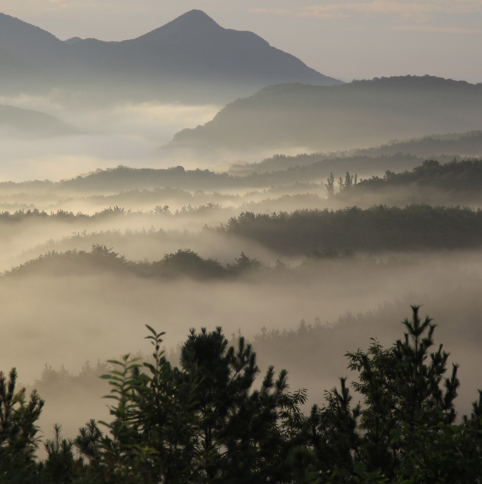 대구 군위 사유원 관람 예약