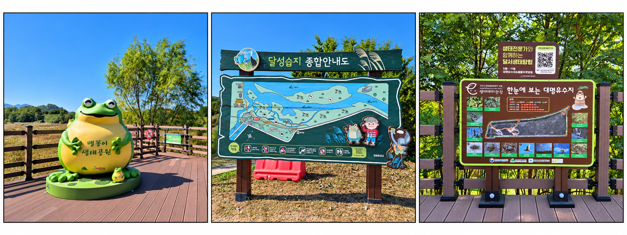 대구 대명유수지 달성습지 맹꽁이 생태공원 조형물과 탐방 종합 안내판