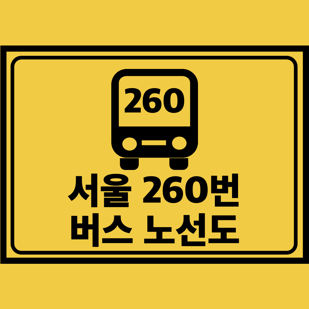 서울260번버스노선도