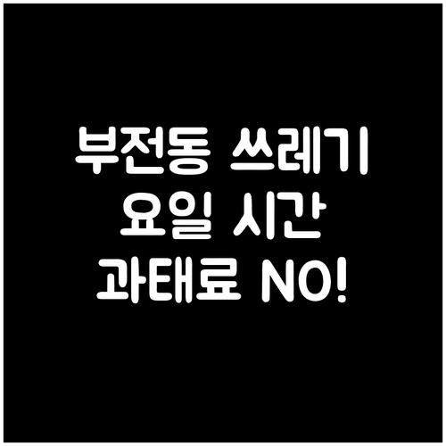 부전동 쓰레기 요일 시간 엄수! 무단..