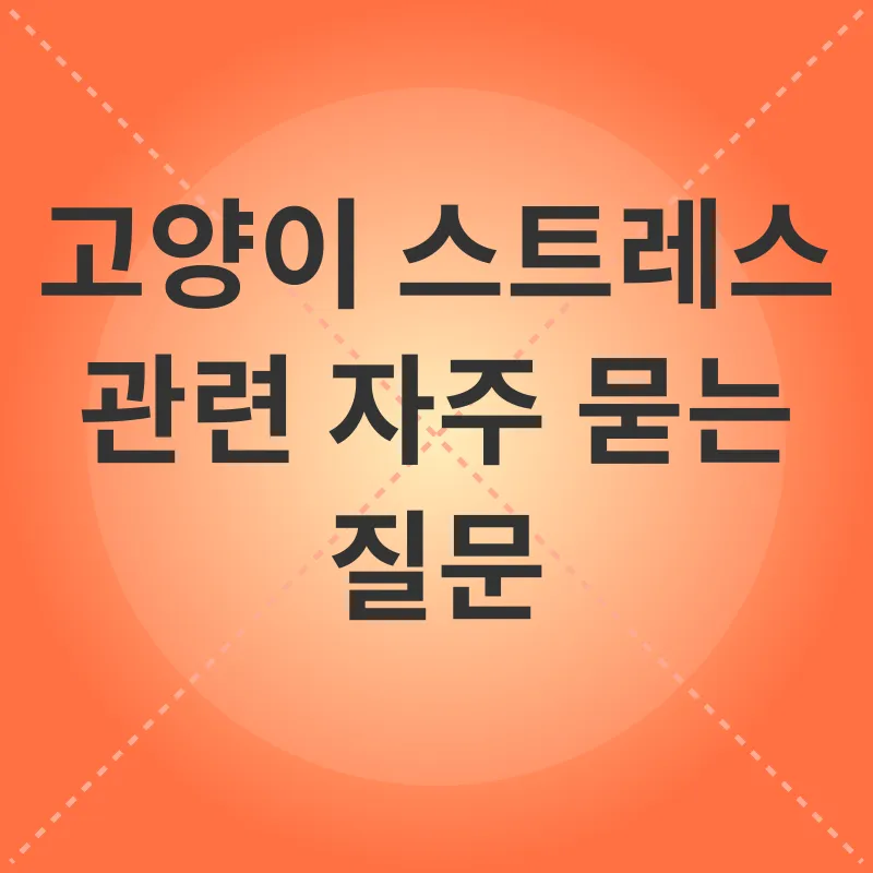 고양이 스트레스 관리_4