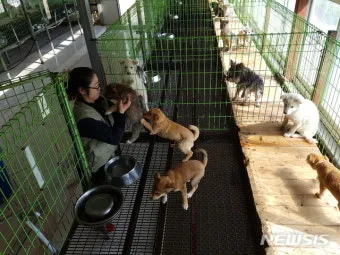 유기동물보호센터 갈 곳 잃은 천사들 희망 이야기_19