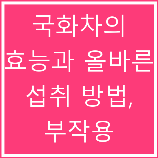 국화차의 효능과 올바른 섭취 방법, 부작용 알아보기