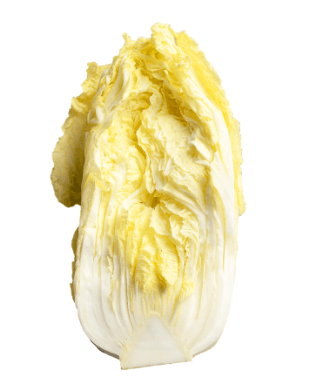 절임배추 만드는법 영양 보관방법 구매팁