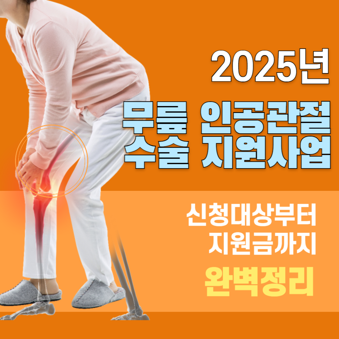 무릎 인공관절 지원