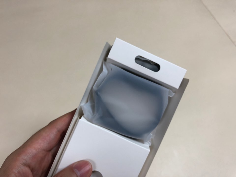 샤오미 미밴드5 정발