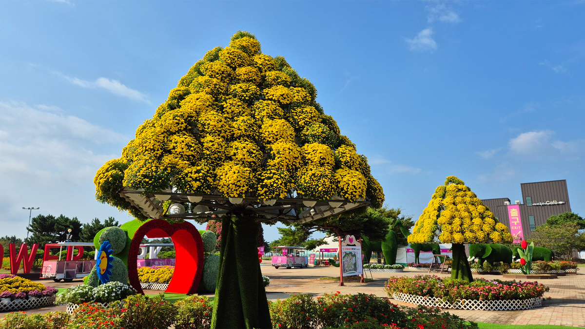 9월 18일 개화현황4