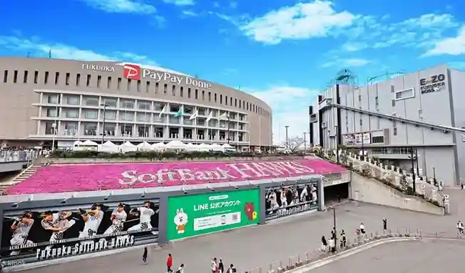후쿠오카 여행 필수 코스 페이페이돔, 소프트뱅크 호크스 경기 관람 및 할인 정보