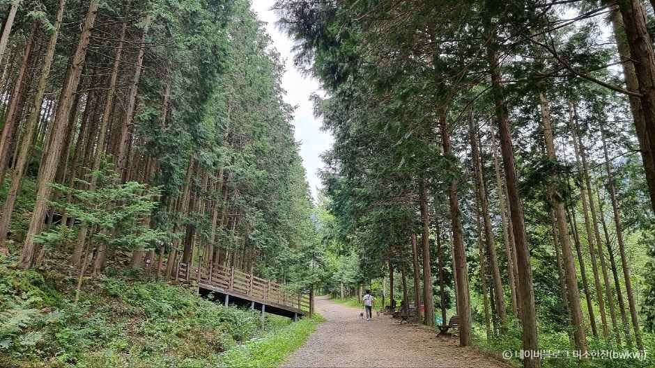 완주 가볼만한곳 베스트10