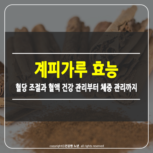 계피가루 효능
