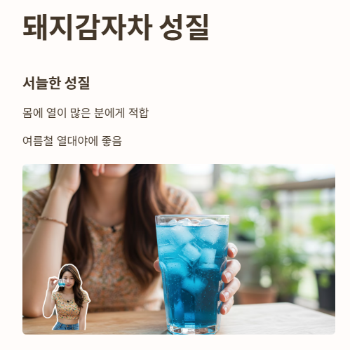 돼지감자차 성질