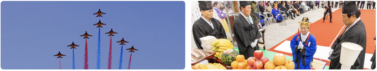 블랙이글스 이충무공 추모