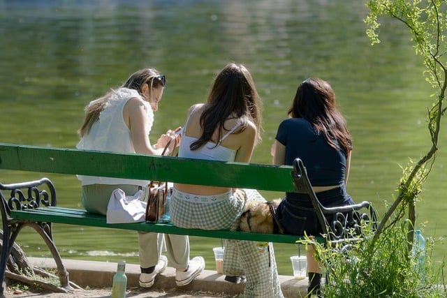 친구들이 나란히 앉아 있는 사진