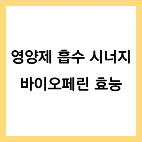 바이오페린 효능