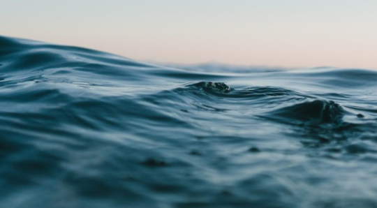 물리는꿈해몽 모음