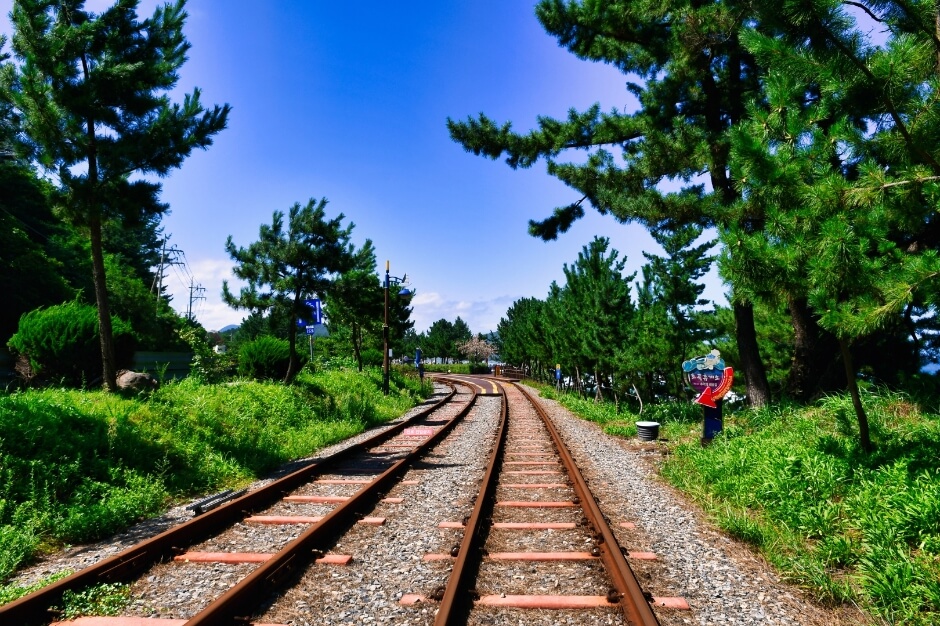 삼척 가볼만한곳 베스트 10