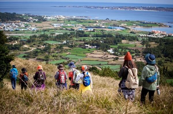 저속 노화를 위한 필수 생활 습관