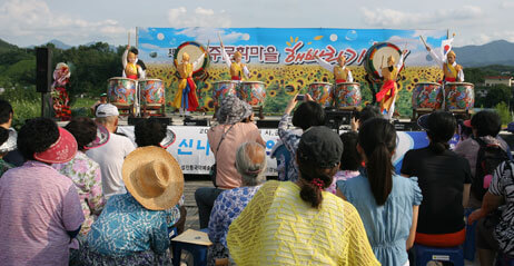 강주해바라기축제