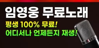 트로트 최신 인기곡 TOP10 무료듣기 메들리 2025_13