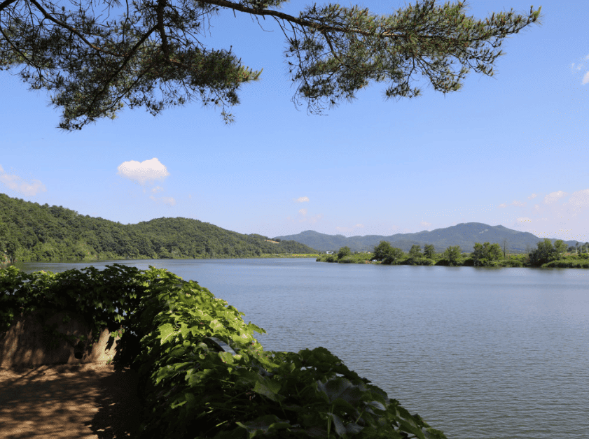 경천대에서 바라본 풍경