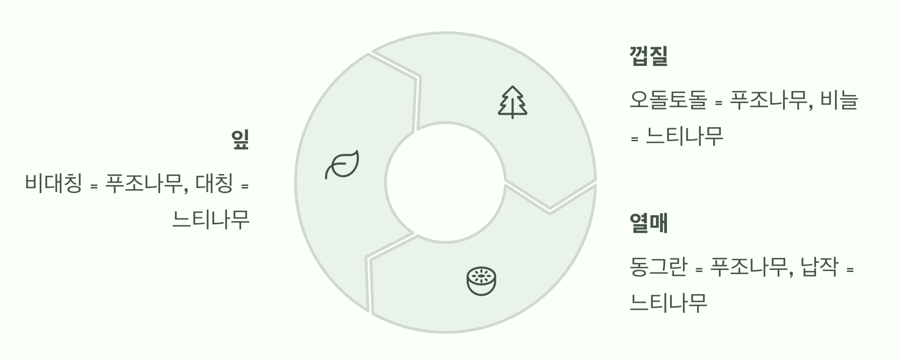 이제 당신도 나무 박사!