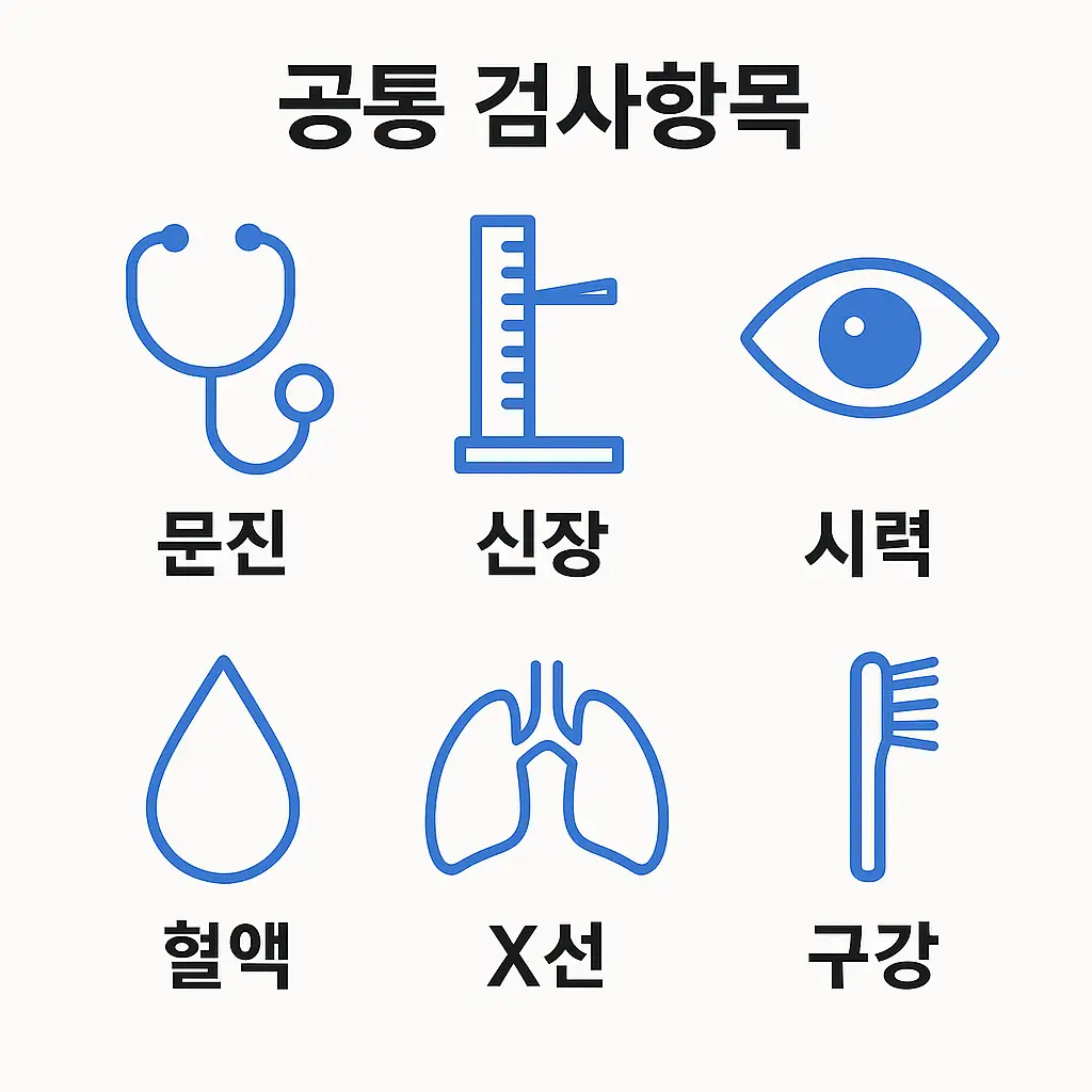 문진, 시력, 혈액검사 등 기본검사 항목을 시각적으로 안내한 이미지