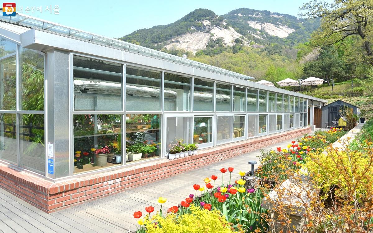 서울-불암산-철쭉제