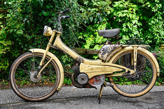 2025 김천포도축제, 샤인머스켓·포도따기 체험과 가족 먹거리 여행