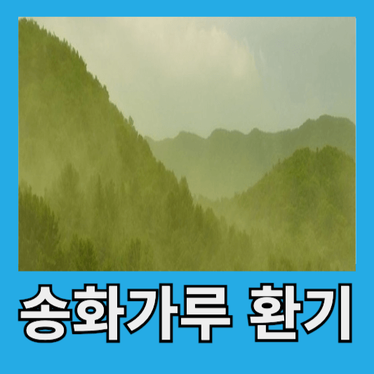 송화가루 시기 송화가루 환기방법 송화가루 부작용