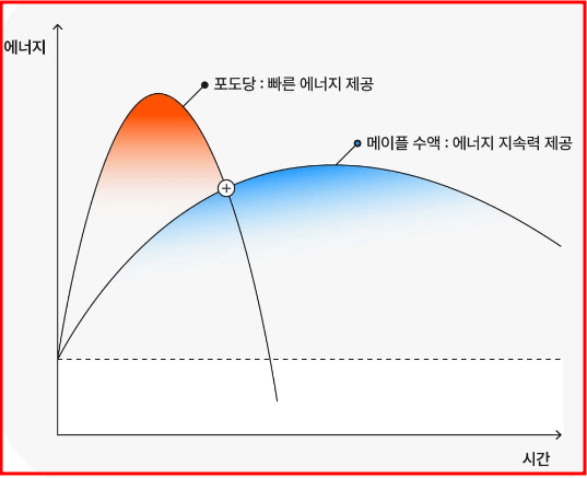 에너지젤 흡수