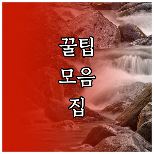 동물성 없는 비건 스킨케어 피부 장점..