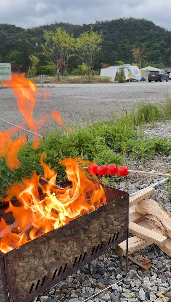 캠핑장-방울토마토구이