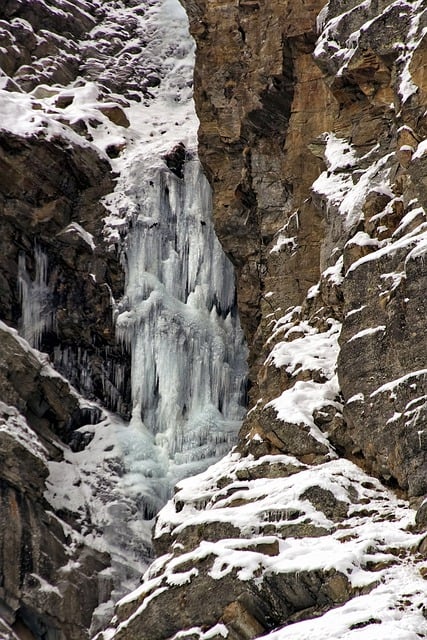 화천 산천어 축제