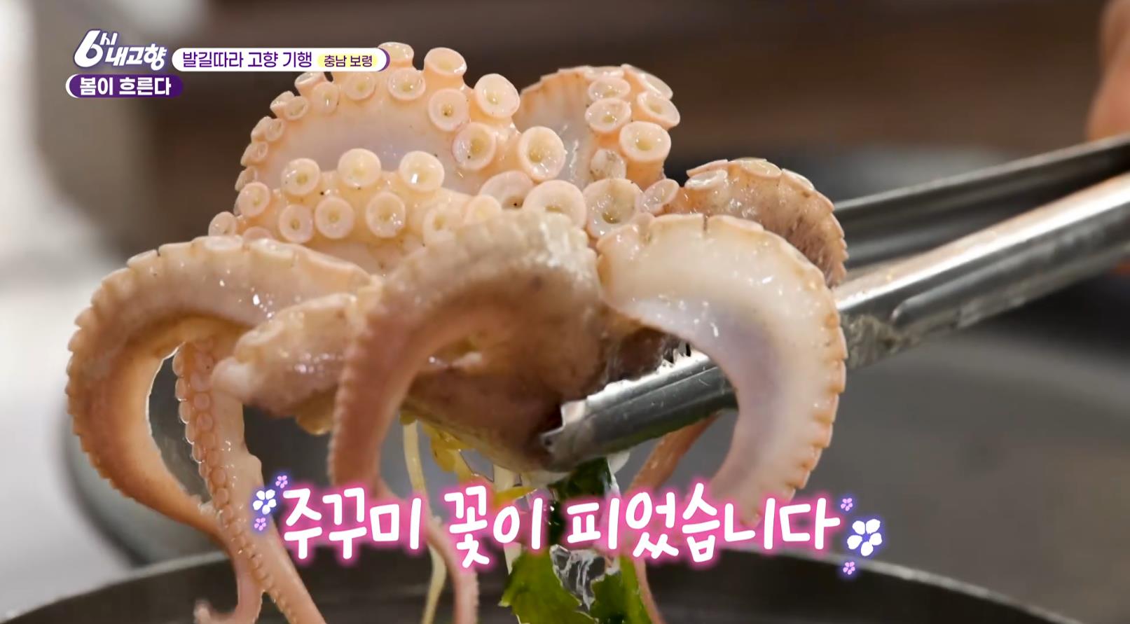 6시내고향 쭈꾸미샤부샤부